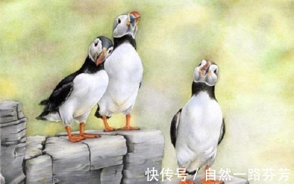 锡金!你知道鲁迅文章中那位很毒的房东太太, 是说的谁吗