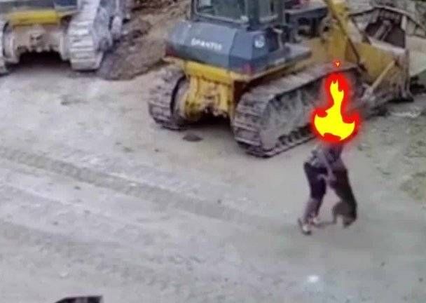 对付|对付恶狗别指望人人都是“武松”