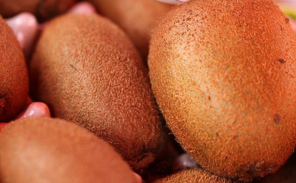 中国2型糖尿病膳食指南|糖尿病患者不能吃水果了，吃对水果最重要