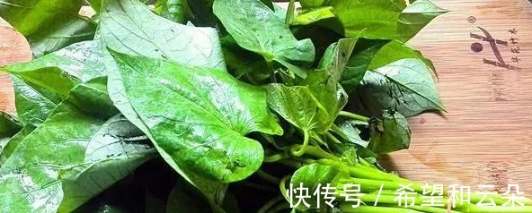 性价比|秋季性价比最高的菜,1元1大把保护视力还养人,简单一炒就美味!