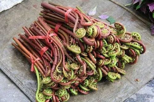 食物中毒|8种蔬菜一定不要再吃了,有毒伤肝,早知道早受益!