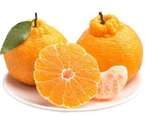 孙思貌|建议:肝不好的人,这几种水果可以多吃点,帮助修复肝功能