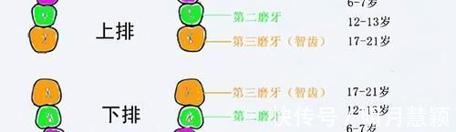 宝宝|宝宝长出吓人的双排牙,只因宝妈准备饮食时,多做了一件事