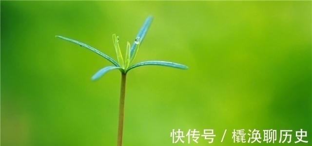 曾国藩&人生逆境时,用这3种方法自救,天不渡人,人自渡