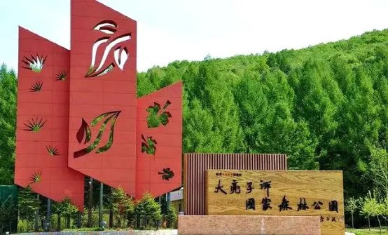 门票|“最近咋样啊?”一句开场白秒回家乡