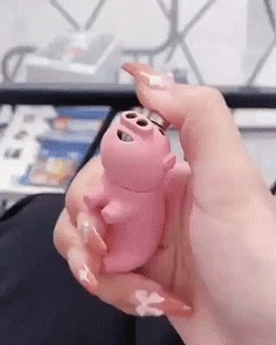 |搞笑GIF:娶了个这样的媳妇真是无语了啊,欢乐无限多呢