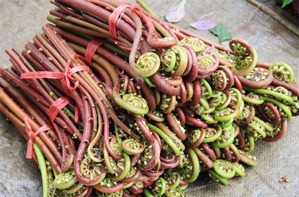 诱发|专家列出4种“黑名单”食物,比“敌敌畏”还毒,再好吃也要扔掉