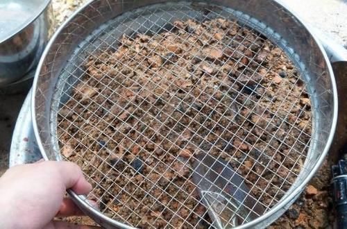 煤块|养花烂根不是大问题!土里埋点它,根须刷刷长满盆,越来越壮实