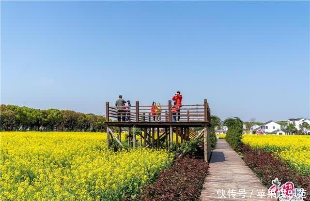 水乡周庄：好风胧月清明夜 游衍江南正当时