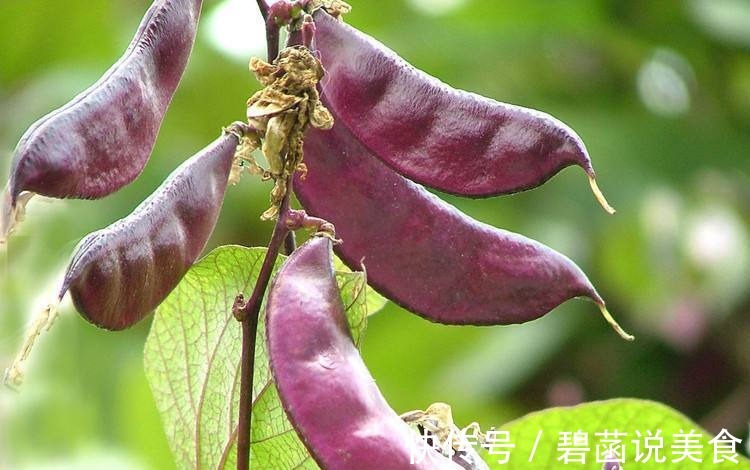 衰老|女人中年养生,可以经常吃以下食物,疏通血管,延缓衰老,气色好