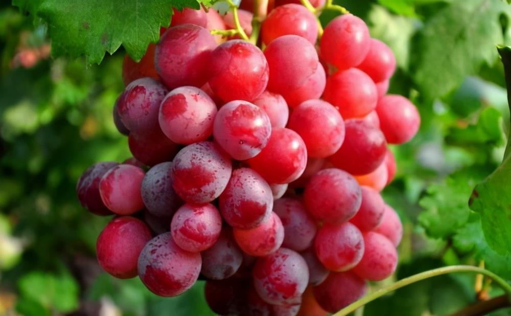 女性不愿老太快，要多吃3种食物，排毒养颜，看起来更显年轻态