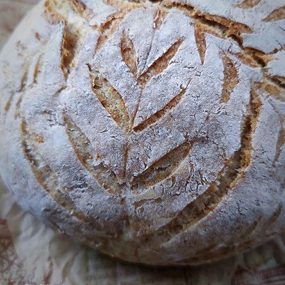 花纹|无糖无油全麦欧包