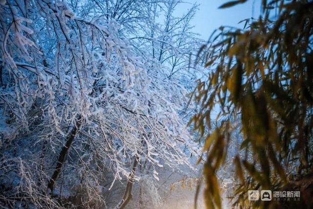 老年|山东迎牛年初雪：空中视角看淄博潭溪山秒变“童话世界”