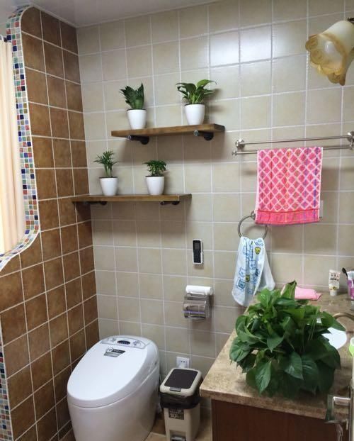 卫生间|媳妇装新房，卫生间砌“半墙”，阳台成“绿森林”，被邻居赞爆了