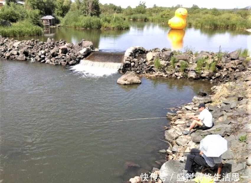 夏季|夏季野钓，突然无鱼口，不是钓技不好，原来是这几种因素