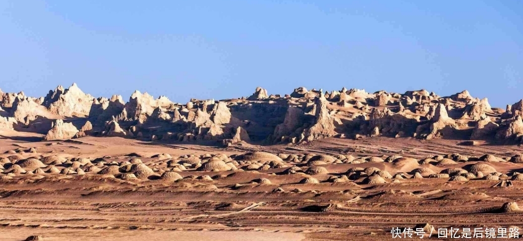 动物群 火星上发现大堆“动物群”?离近一看,原来是它!