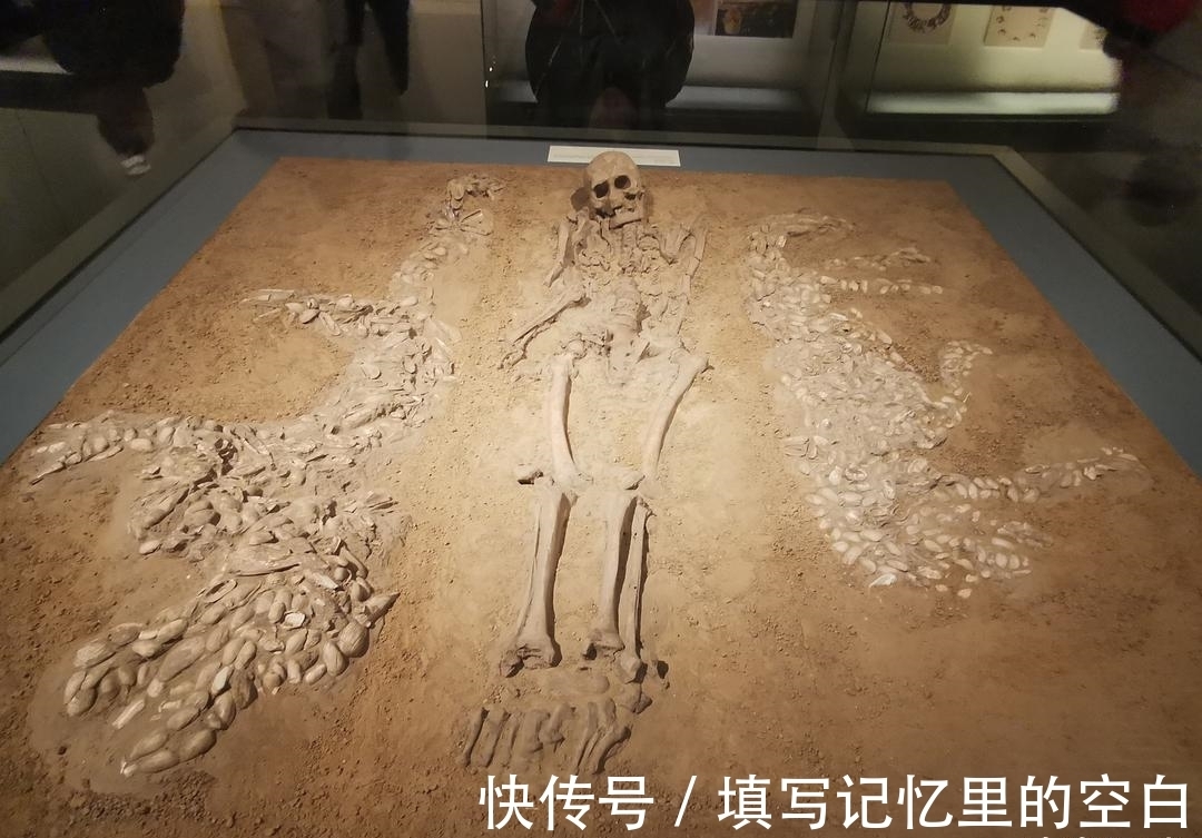 图腾|龙并不存在,为何中国人却自称龙的传人?闻一多猜想被考古推翻