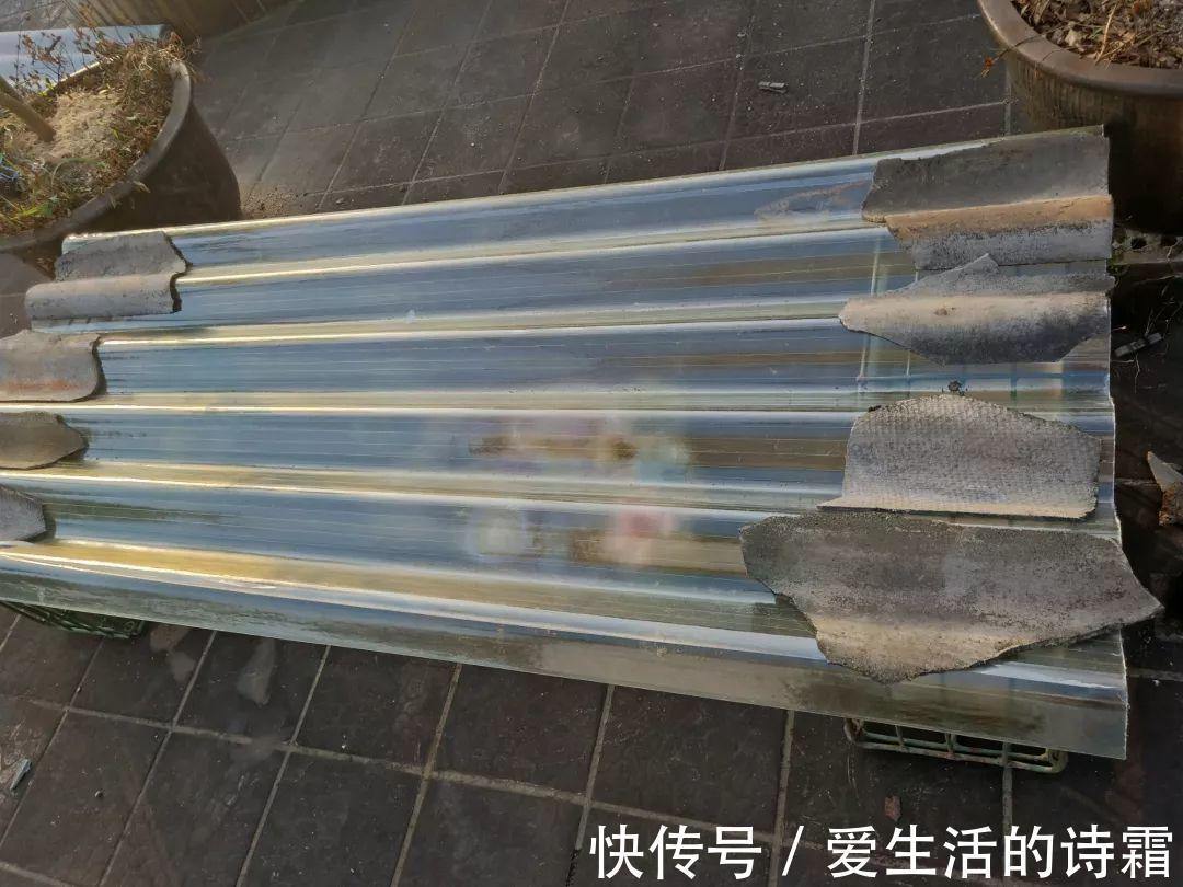 肉友|天一热,别管多肉徒不徒长了,能活下来就不容易!