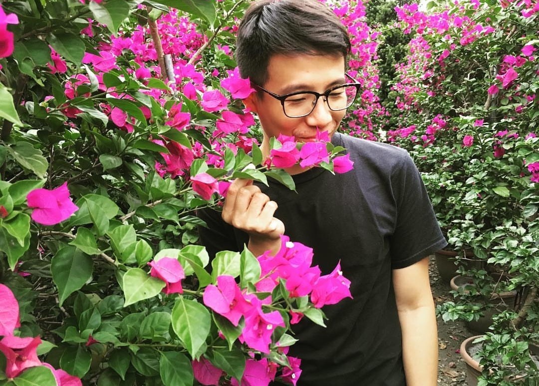 三角梅出现不开花，用1“小技巧”，开花多，天天有花赏！
