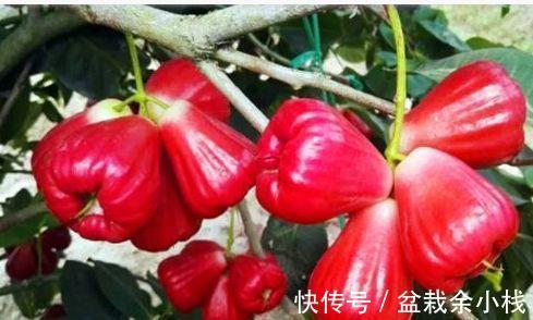 常吃|女性养生,适合常吃3种食物,排毒养颜,刮油消脂,甩掉多余脂肪