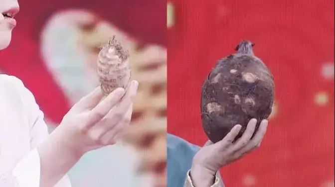 减肥好伴侣！家中一定要常备，搭配这几样宝贝，健脾补虚、助消化、驻颜美容~