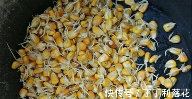 酒香|夏季钓草鱼,用自制饵料效果更好,多种味型饵料配方,专钓大草鱼!