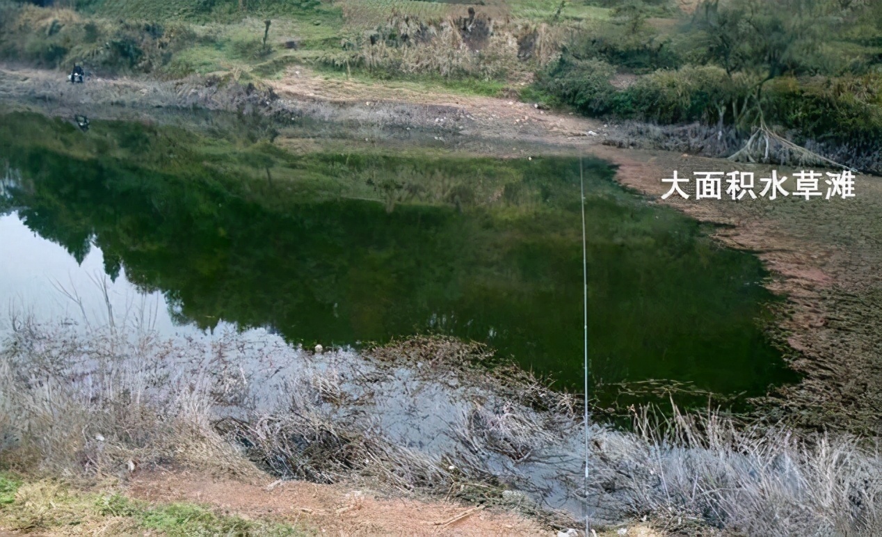 大鱼|钓鱼时的6大“黄金钓位”,图都给你画好了,遇到了别错过