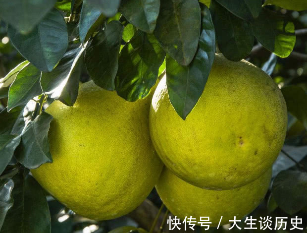 榴莲|高血压最好避免4种水果，吃一口血压飙升，别儿戏生命！