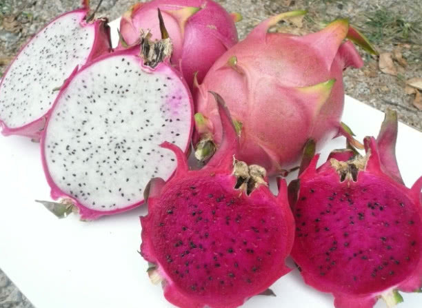 蜂蜜水|便秘是肠胃不太好，经常吃几种食物，可能助你排便顺畅些。