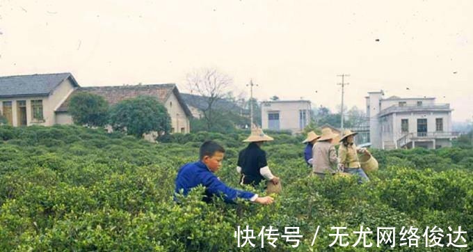 老照片|80年代老照片：苏州的房屋贫富差距大，公园留影的美女侧脸很美