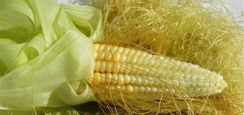 搭档|黄芪的“最佳搭档”揭秘,泡水喝,祛湿排寒,肝肾兴许“报答”你