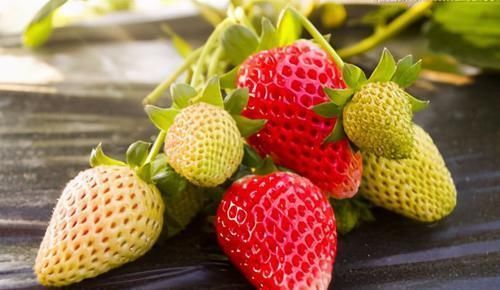 榴莲|女性到了中年，推荐吃三种食物，延缓衰老，缓解疲劳，早吃早好