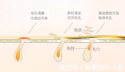 洁面|不注意就烂脸！洗面奶千千万万，让我无限回购的却只有这几支！