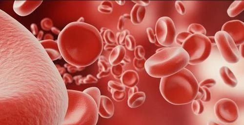 胆固醇|高血脂的“清道夫”找到了，每天吃一点，清除血液垃圾，预防血栓