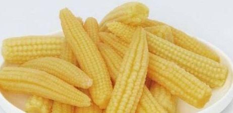 春天養生正當時，不妨多吃幾種食物，美容養顏，滋潤身體