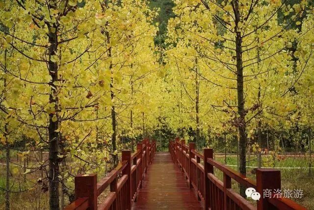 前店子|冬日最美打卡地，秦岭深处最美村落，望得见山，看得见水