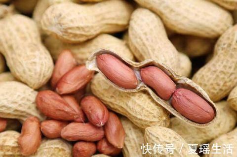 养生|老年人常吃3种坚果延缓衰老 核桃是养生佳品