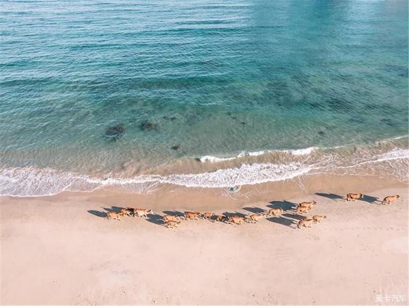 旅行|三亚归来不看海，除却亚龙不是湾”