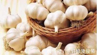 红蜘蛛|花盆里有虫子，有人竟然喷洗衣粉液，撒风油精，连蚊香也用上了