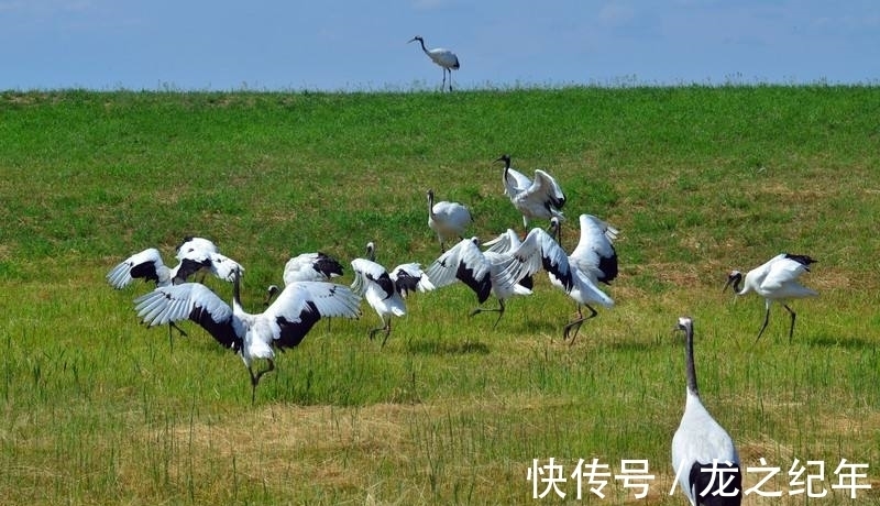 古诗词@笑一笑,十年少,献上2首妙趣横生的古诗词,供君会心一笑