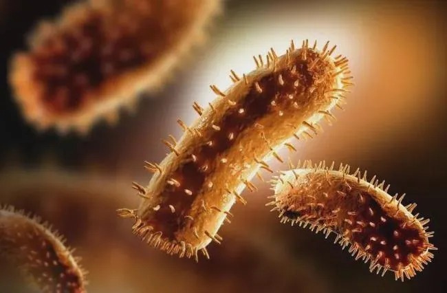 咳嗽|发烧、咳嗽、腹泻、失眠……都是它的错！