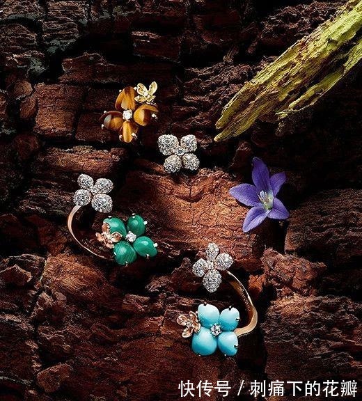 大熊猫 天然钻石珠宝设计——源于大自然的奇思妙想!