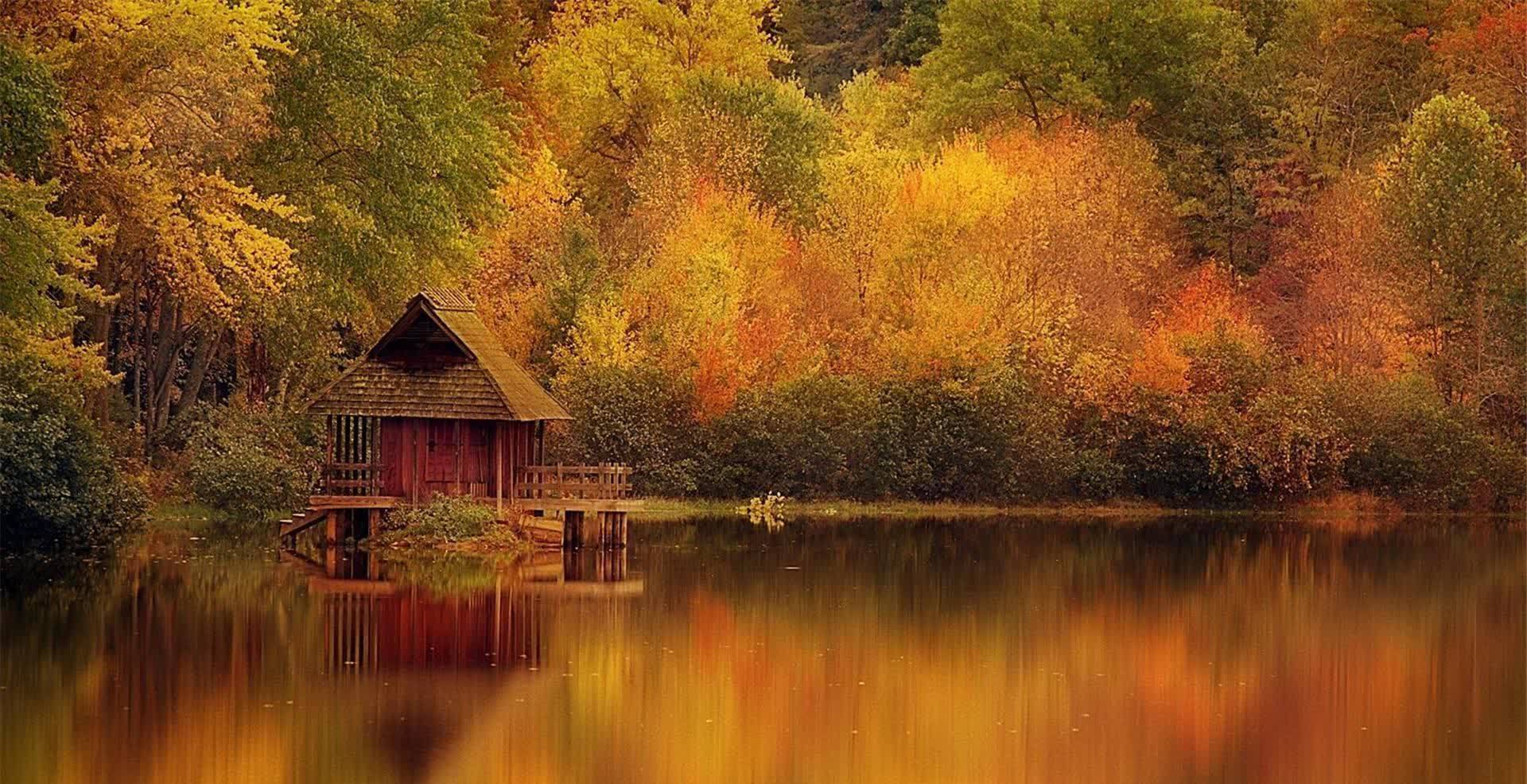 荒芜@突然就老了……(散文)