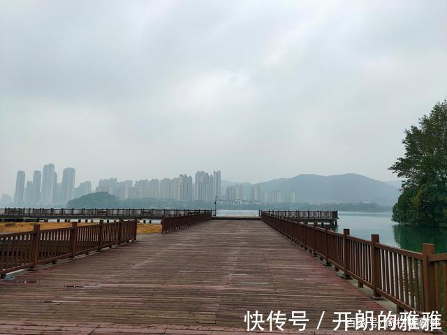 梅溪湖@《五绝·冬日游梅溪湖》逍遥碧水边,湖清树自闲