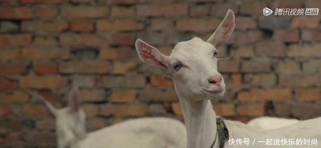 中国宵夜图鉴!(深夜慎点)