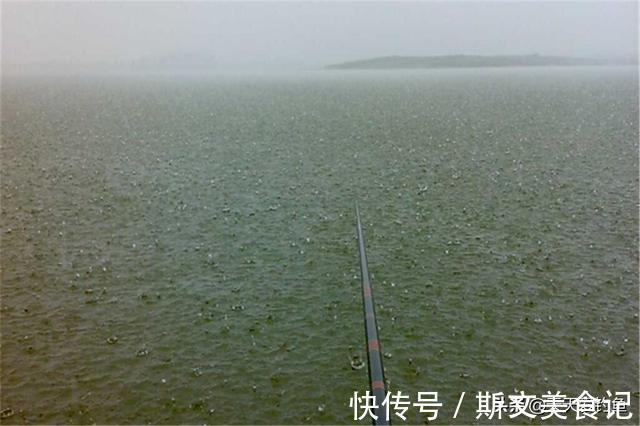 活水|夏季钓鱼困难多,5种天气别出门,2种钓位不下竿,不然10有9空