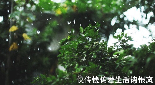 文字!或许人们把狂欢和爱情放在文字里是对的,因为它们别无去处