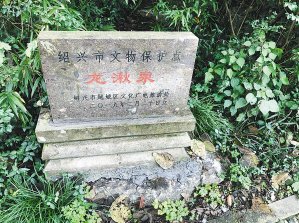  市民|府山上有个历史悠久的“龙湫泉”热心市民自发在此养锦鲤五年了