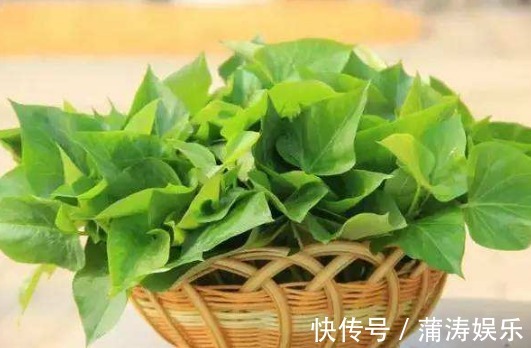 农村|这种野菜在农村很常见，它是高维营养菜，药用价值让你想不到！