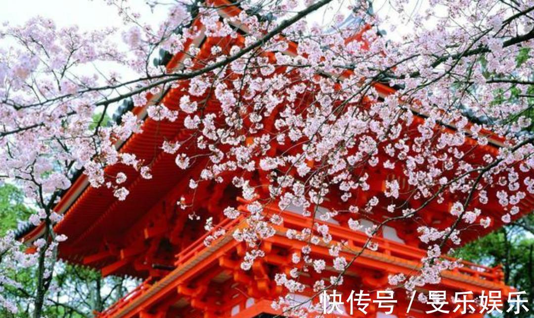 闰章$清初大诗人施闰章一首《山行》,同样写得很美,山野春景如诗如画